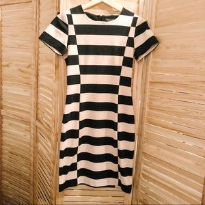 Fitted Club Monaco Dress